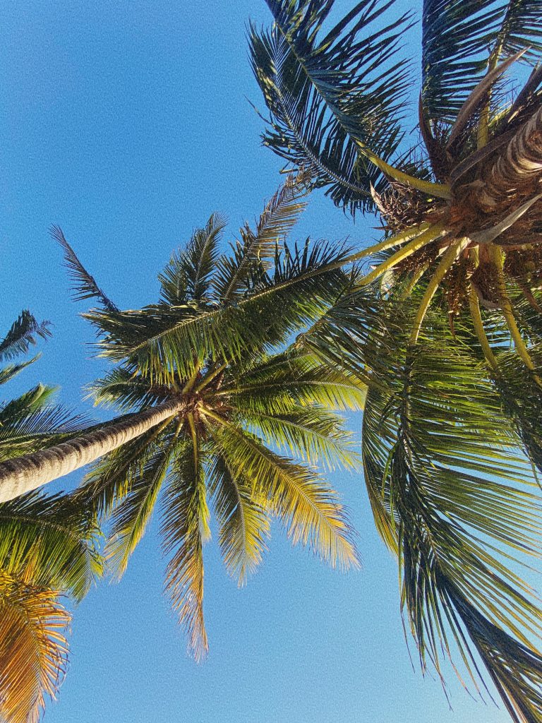 photo-output-3 (1)