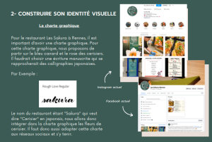 visuelle_chartegraphique_Sakura